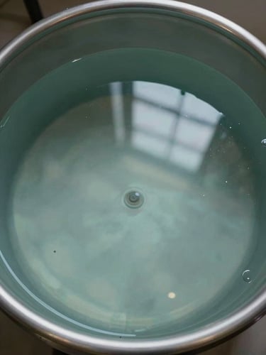 Overhead view of a circular aquaponic tank interior, still water surface reflecting diffuse light, stainless steel rim, no staff, sterile and precise