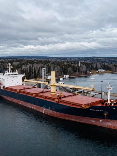 Aerial wide-angle view of a deep-water industrial port in northern Canada, massive cargo ships docked, heavy loading infrastructure, overcast cool lighting, rugged pine forests in the background