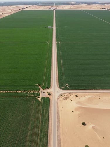 Crisp aerial drone photography of a high-capacity agricultural corridor, bright natural daylight, rich green fields meeting sandy desert borders, wide-angle lens showing precise land boundaries.