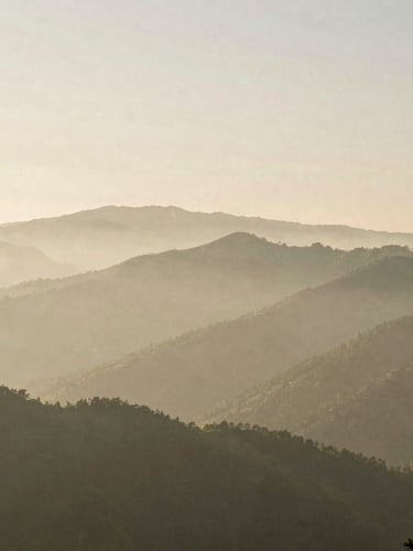Wide environmental shot of misty mountain ranges in morning light, deep perspective, serene and silent atmosphere, 35mm film photography style.