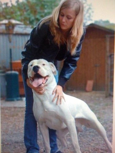 education canine 31 - cecile occicani - comportementaliste canin toulouse et gers