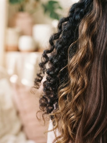 Close-up of diverse healthy hair textures, soft morning window light, cream and blush tones, shallow depth of field, 35mm, elegant and natural