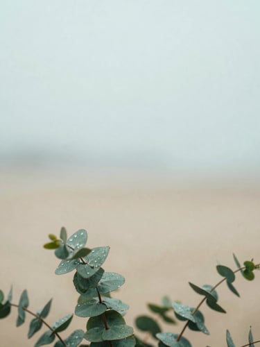 A close-up of green eucalyptus leaves with soft water droplets, diffused overcast daylight, minimalist calming composition, 35mm
