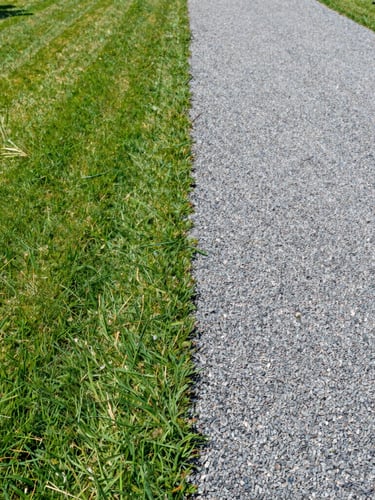 Wide environmental shot of a pristine, freshly cleared property line, sharp green lawn on one side, slate gray gravel path on the other, bright direct natural daylight, 35mm