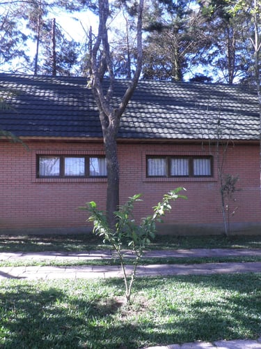 iex-caminho-do-mestre-ayahuasca-caxias-do-sul-rs