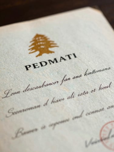 Macro close-up of an official Lebanese property deed registry document, aged paper texture, elegant handwriting, soft dramatic side lighting.