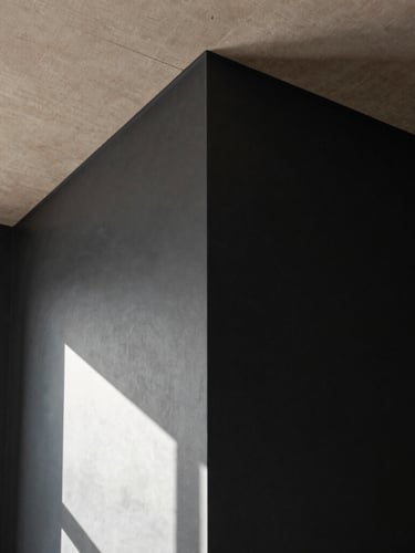 A tall architectural slice of a room showing the transition from matte charcoal walls to a raw linen ceiling, sharp shadow lines from directional morning light.