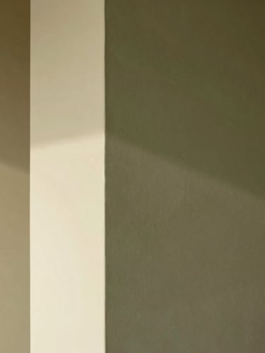 A tall, narrow architectural composition of a plaster wall, natural light casting a soft, directional shadow across a crisp transition from matte olive to warm eggshell finish.