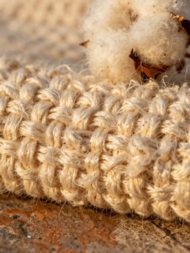 Extreme macro shot of dense, unbleached cream cotton fabric weave, warm golden-hour side lighting, highlighting raw organic fibers and tactile texture on a rustic stone surface, 35mm