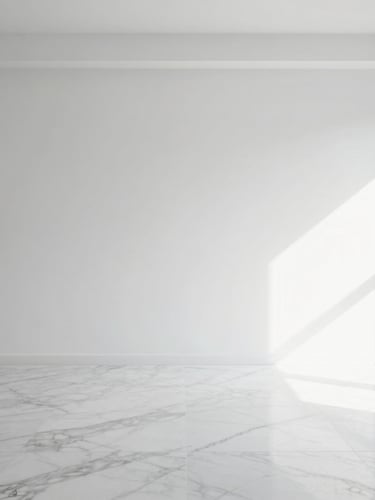 Minimalist clean interior photography, bright natural daylight, crisp black and white tones, sharp architectural focus on a spotless modern living room with pristine marble floor.
