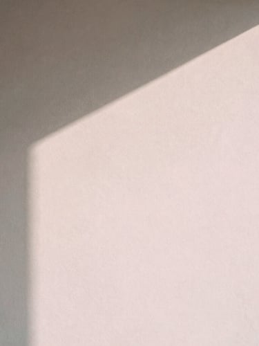 Abstract shadows on a clean plaster wall, soft natural north-facing daylight, minimalist and architectural, editorial feel, 35mm