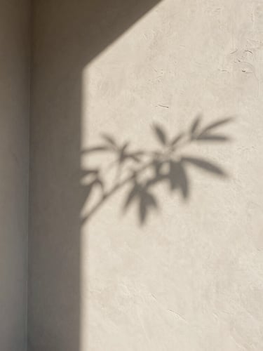 Soft diffused natural light falling on a raked plaster wall, a single delicate shadow of a botanical branch, minimalist architectural corner, quiet luxury.