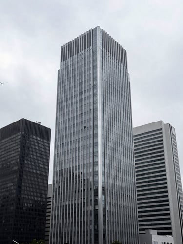 Architectural wide angle of a modern financial district in São Paulo, cool overcast daylight, desaturated silver and charcoal tones, sharp focus, 35mm