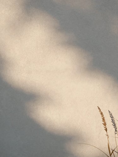 Soft morning sunlight reflecting on a textured plaster wall, casting quiet, warm shadows of dry grass, minimalist and peaceful