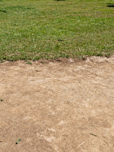 Wide shot of a freshly cleared expansive dirt and grass lot in São Paulo, sharp focus, bright direct sunlight, clean and compliant space, 35mm lens.