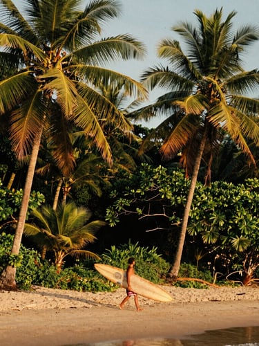 Warm golden-hour editorial photo of a lone surfer carrying a wooden board along Playa Cocles, towering palm trees, deep green jungle canopy, 35mm film style.