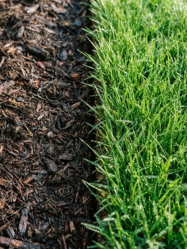 Overhead macro shot of rich, dark mulch meeting vibrant green dew-kissed grass with a crisp, razor-sharp hand-edged border, bright morning daylight, 35mm