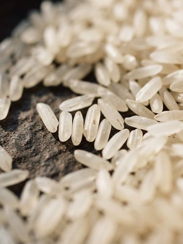 Macro shot of raw, translucent white rice grains on a dark surface, bright natural side-light highlighting grain texture, shallow depth of field, 35mm