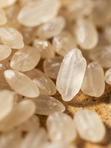 Macro shot of raw premium rice grains, translucent texture under bright natural side-light, showcasing perfect shape and grading, shallow depth of field