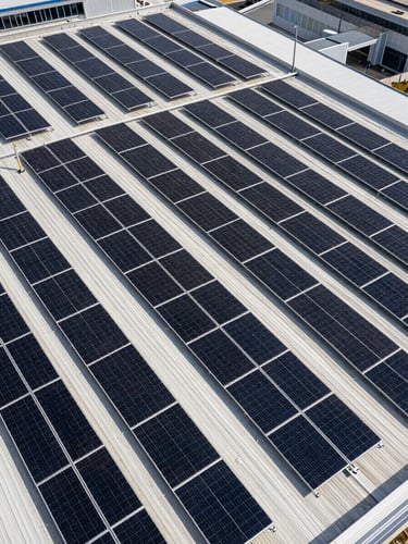 Orthographic overhead view of a large commercial rooftop solar array, rows of dark photovoltaic panels covering a flat industrial building roof, hard midday daylight casting sharp geometric shadows between panel rows, cool institutional light, no people, no sky visible — pure geometry of engineered infrastructure from directly above