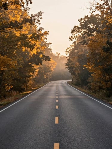A quiet, empty asphalt road winding through soft golden hour trees, completely devoid of cars, misty atmosphere, peaceful and still.