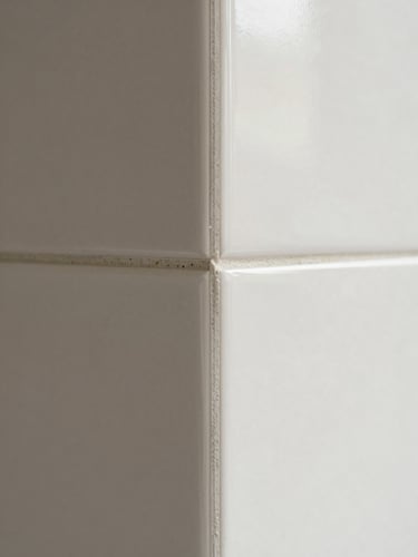 Portrait close-up of a kitchen splashback tile corner where the grout line meets the wall edge in a perfectly straight bead, freshly applied, soft diffused daylight, no smears or excess