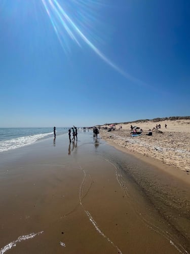 Sandy Hook