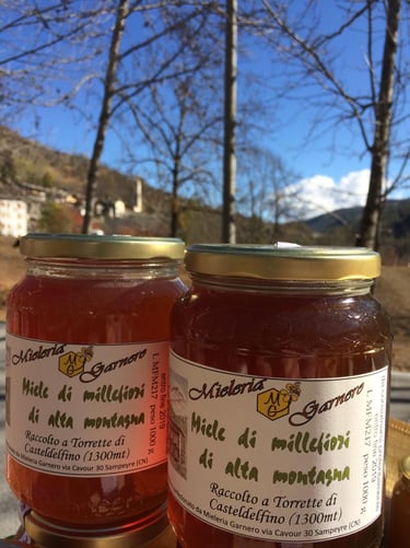 due barattoli di miele di millefiori di alta montagna di Torrette  con sfondo un paesaggio montano