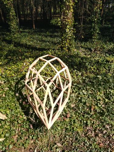 Le zome 6 œuf en bois de cèdre