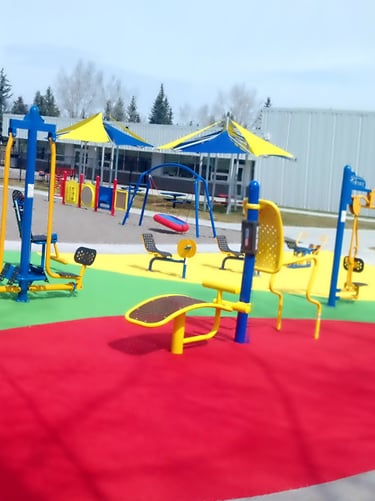 Fitness Park Surfacing