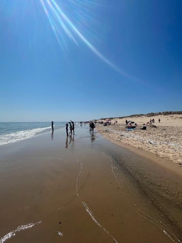 Sandy Hook