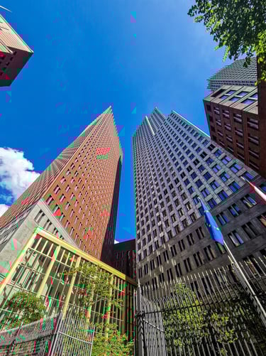 The Hague