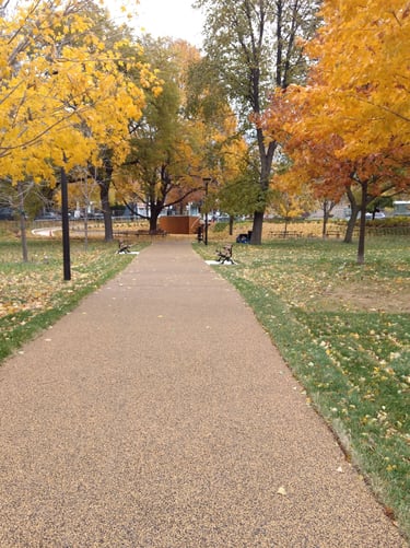 Rubber Pathway Trail Surfacing
