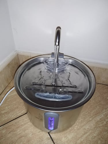 74oz stainless steel cat water fountain with quiet pump, visible water level,