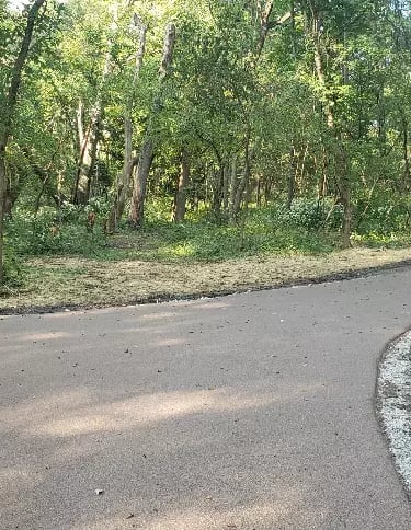 Terraflex Rubberized Pathway Surfacing