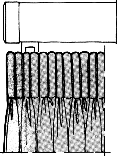 Schéma représentant une tête de rideaux ordinaire