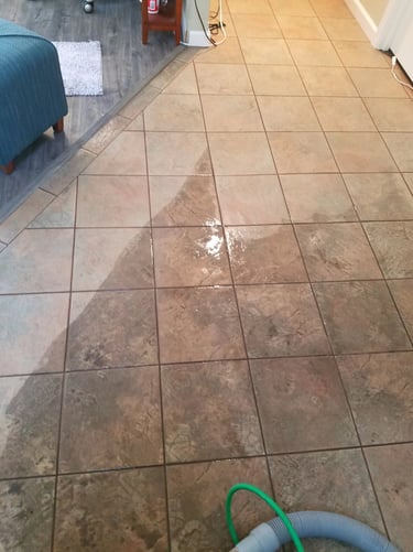 Drastic tile and grout cleaning results in an Olympia home