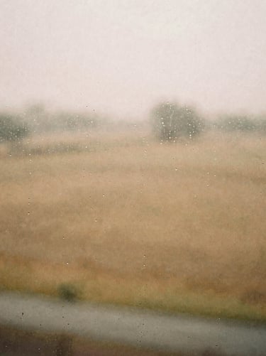 Atmospheric view of rain on a window pane overlooking a quiet landscape, muted earth tones, 35mm.