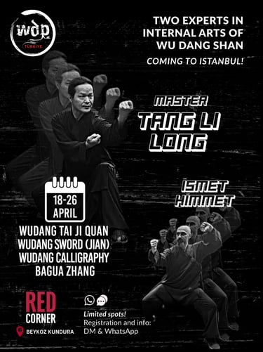 Tang Li Long İsmet Himmet Wudang WDP international seminar TaijiQuan Sword Kiliç Bagua Calligraphy 2