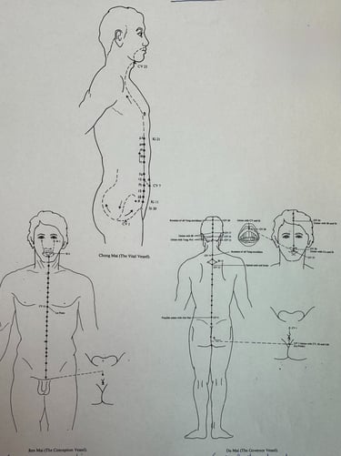 First Ancestry overview: Chong, Ren and Du Mai with guiding questions about identity and potential.