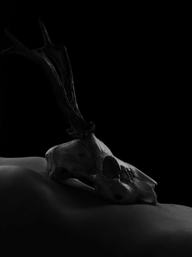 Anita Papp’s striking image of a deer skull, symbolizing the intersection of life, death, 