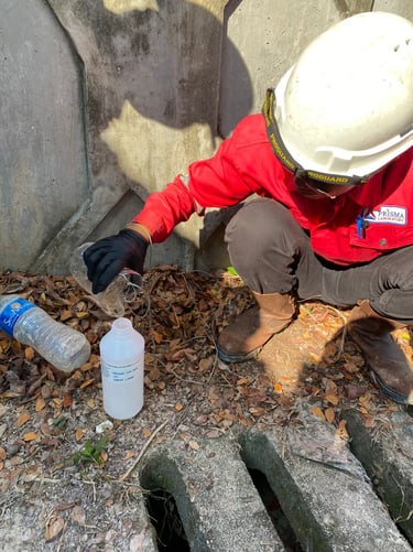 Water quality monitoring