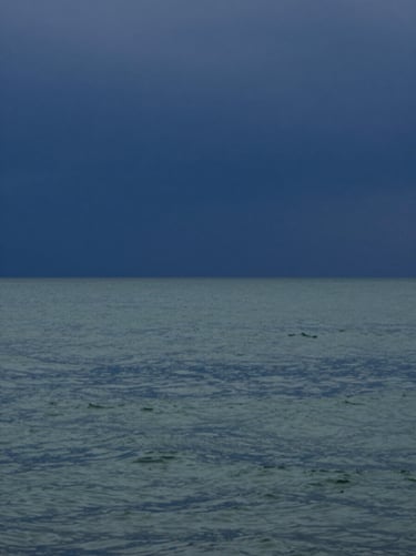 A minimalist landscape showing a calm sea at dusk, with the horizon line separating a deep blue #1A2D3A sky and a sage #91AA9D water surface. It represents the peace found after a long journey of overcoming challenges.