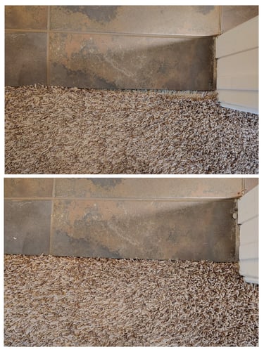 A cat had scratched and dameged this carpet in Bluffdale, UT and was completly repaired back to new.