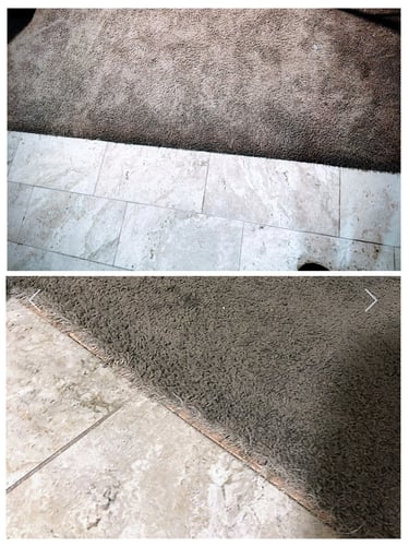 Kitty scratched this carpet so we stretched the carpet back up to eliminate the fray in Holliday, UT
