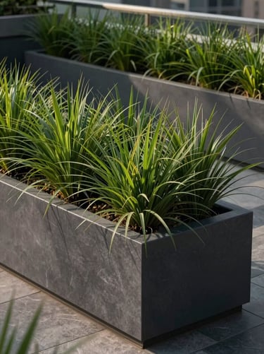 Low-profile rectangular fiber planters on a modern penthouse terrace in Delhi, containing manicured architectural grasses