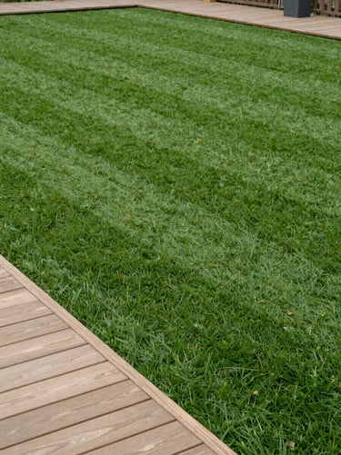 Neatly striped newly laid turf meeting a sharp timber decking edge, natural overcast daylight