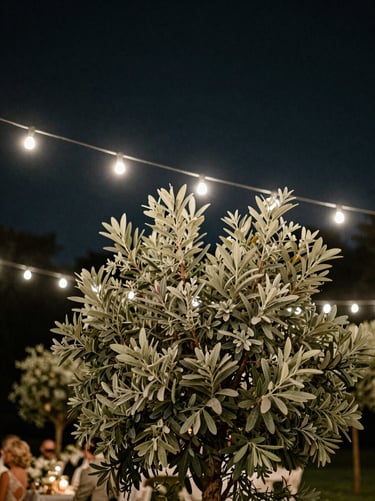 Evening outdoor reception with subtle sage green foliage. String lights create a soft glow against the dark charcoal night sky. A warm, inviting, and refined atmosphere.