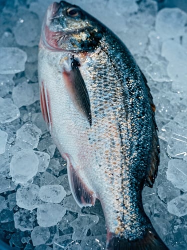 Extreme close-up of a fresh whole fish with glistening scales on crushed ice, cool coastal daylight, raw texture