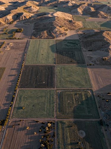 An aerial drone photograph looking straight down at the geometric patterns of a rural Nevada land plot. The textures of the earth and sparse vegetation create a natural mosaic of sage green, charcoal, and sand. The lighting is golden hour, casting long, dramatic shadows. North American / US - Northeast Nevada.